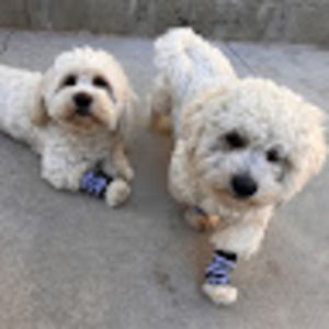 Meet your Posher, Mary jo